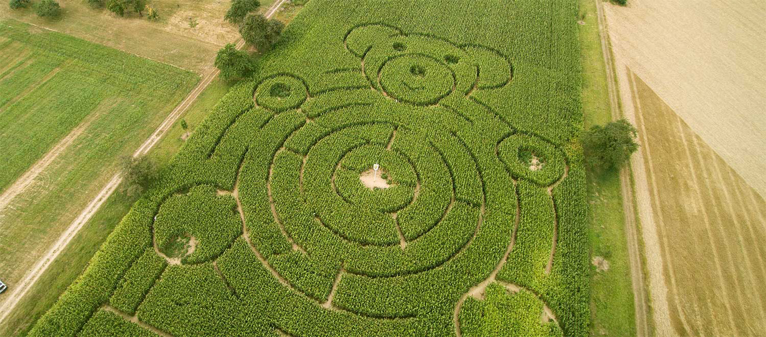 Videoproduktion aus Eutingen